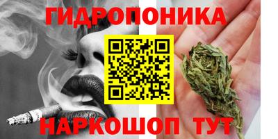 apvp Пугачёв