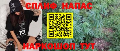 apvp Пугачёв